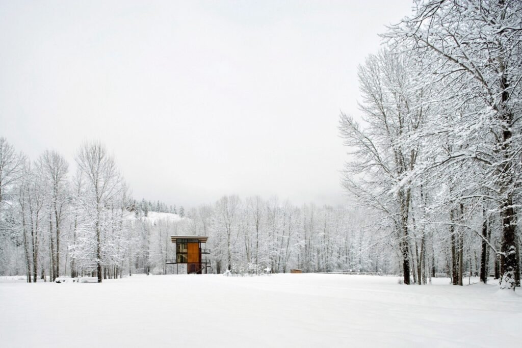 arquitecto para hotel ecoresort naturaleza