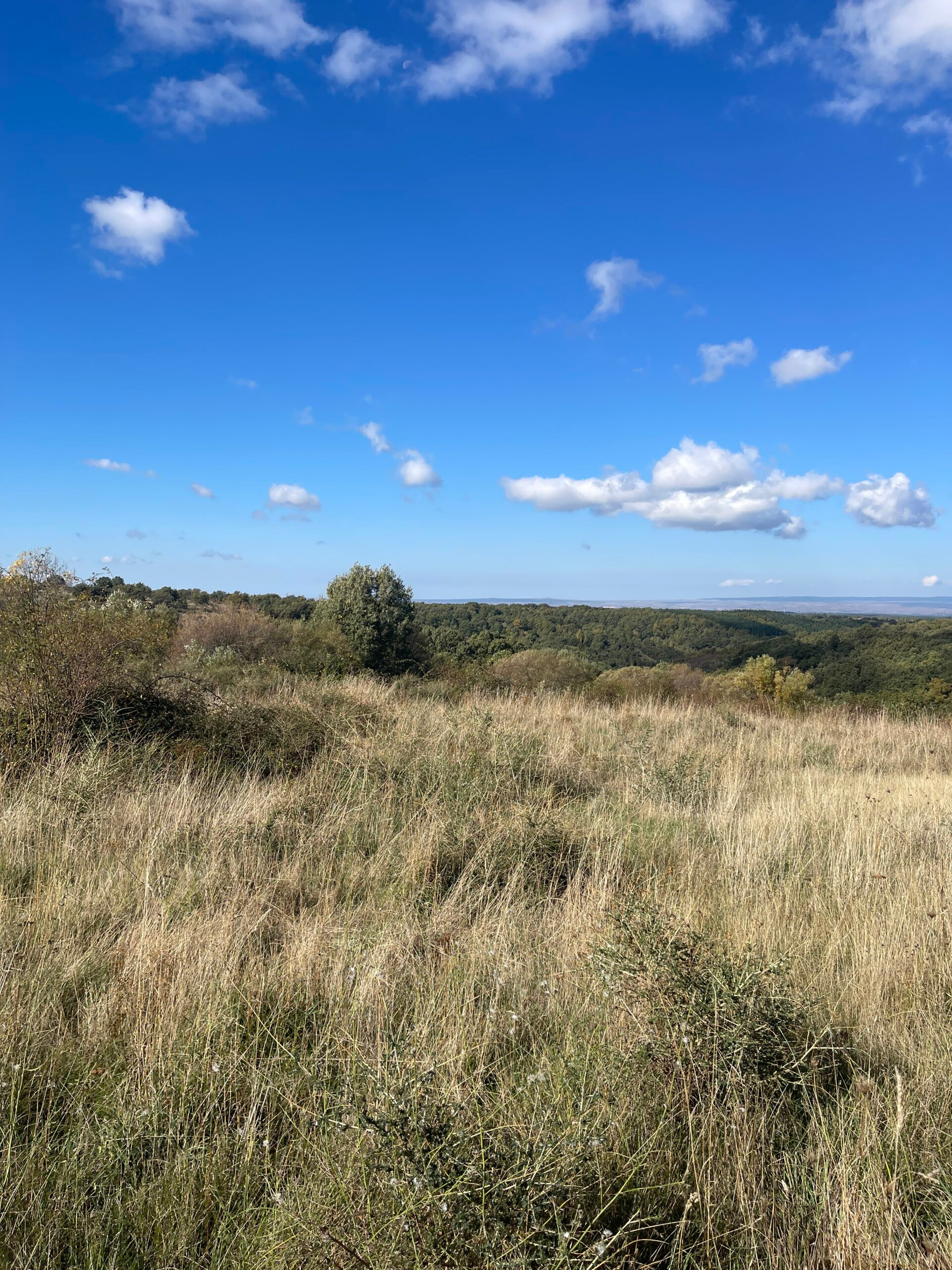 glamping Segovia nuevo proyeCTo nature hgospitaltiy consulting