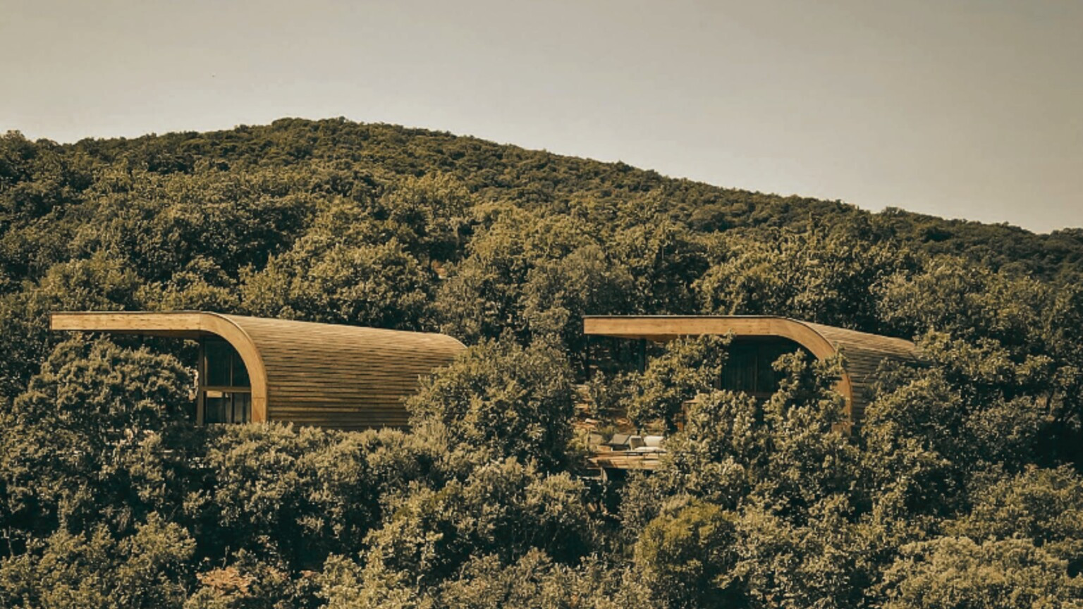 Desarrollo de Ecoldoge premium hotel de cabañas nature hospitality consulting