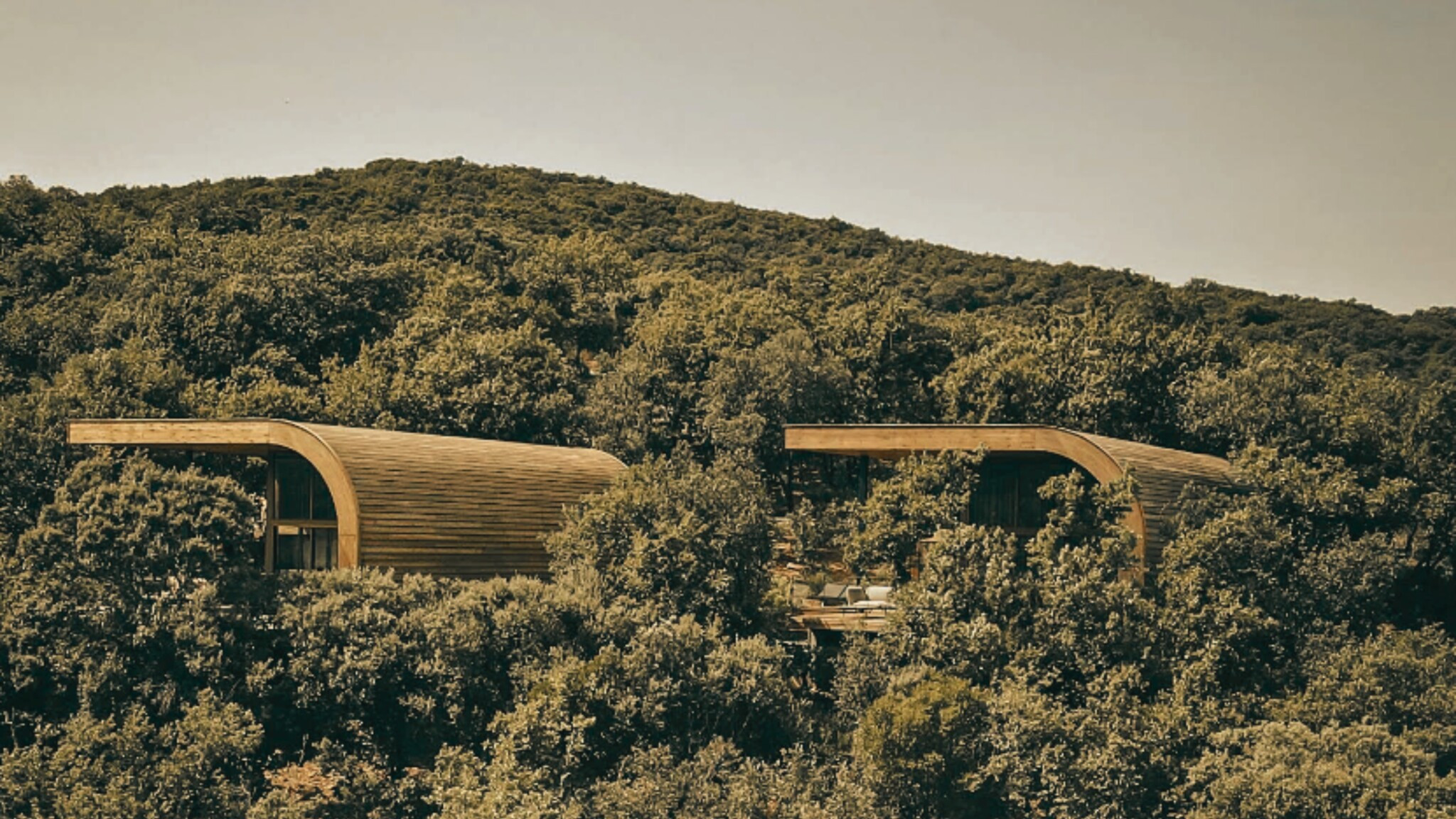 Desarrollo de Ecoldoge premium hotel de cabañas nature hospitality consulting