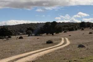 Dehesa con camino, seleccion de terreno para hospitalidad de naturaleza