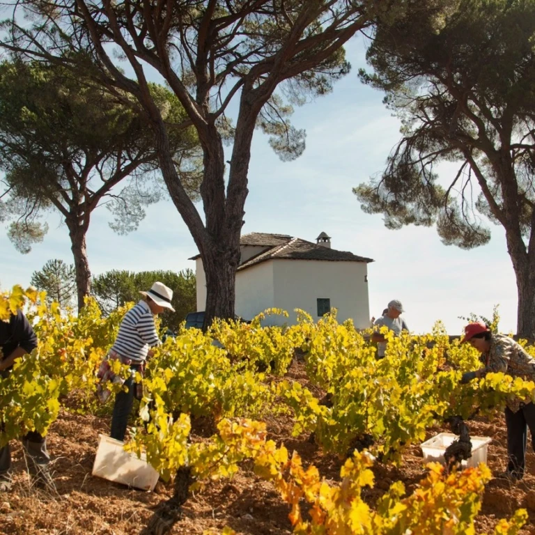 Instagram post from naturehospitality. This post is in position 1.