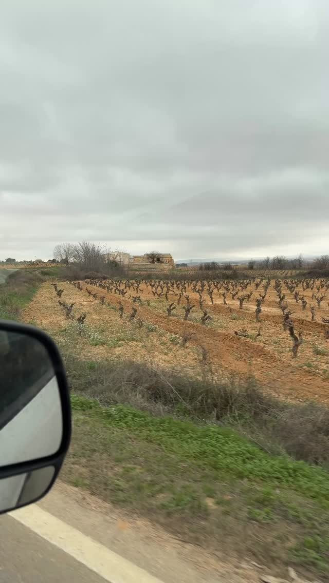 Instagram post from naturehospitality. This post is in position 1.