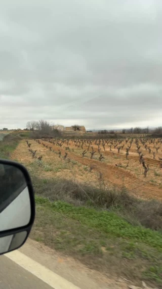 Instagram post from naturehospitality. This post is in position 1.